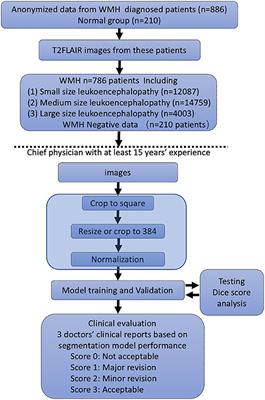 Segmentation of Cerebral Small Vessel Diseases-White Matter Hyperintensities Based on a Deep Learning System